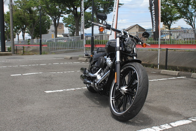 001-FXBRS_2019.jpg