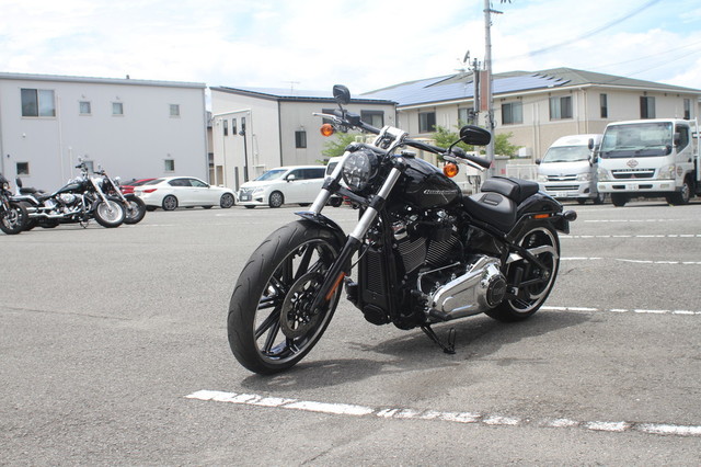 002-FXBRS_2019.jpg