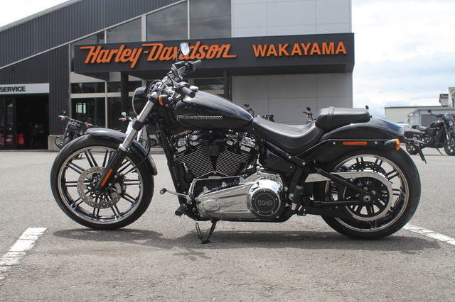 003-FXBRS_2019.jpg