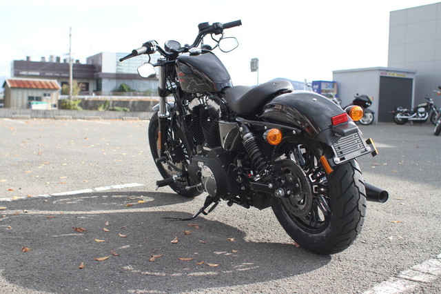 003-XL1200X_2019_1.jpg