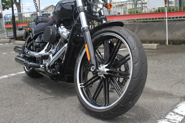 007-FXBRS_2019.jpg