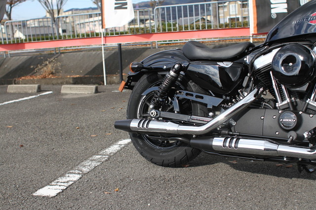 007-XL1200X_2019_1.jpg