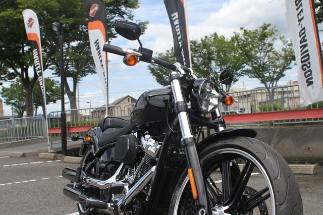 008-FXBRS_2019.jpg