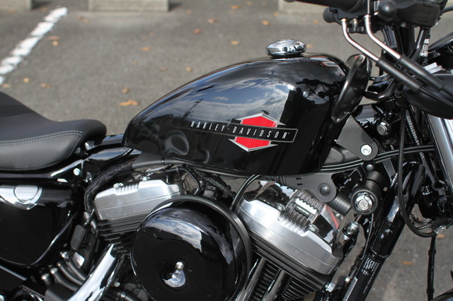 008-XL1200X_2019_1.jpg