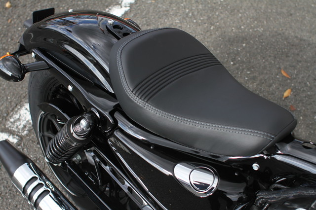 009-XL1200X_2019_1.jpg