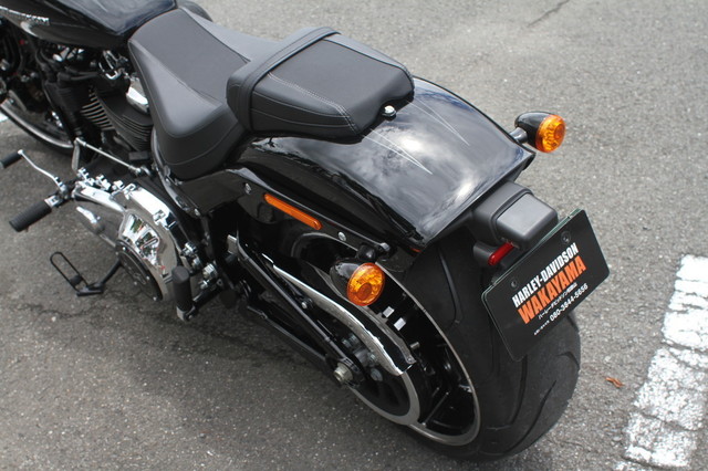 011-FXBRS_2019.jpg